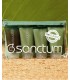 Pack Essentiel pour le Corps - Body Essentials - Sanctum