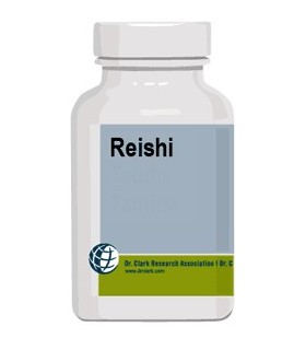 Reishi - Champignon - Dr Clark