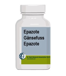 Ansérine - Epazote Dr Clark