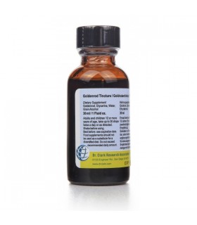 Verge d'Or - Solidago - Dr Clark