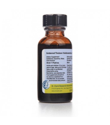 Verge d'Or - Solidago - Dr Clark