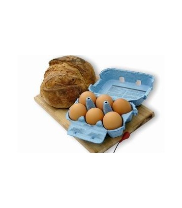 Zappicator pour les Aliments Dr Clark