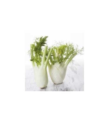 Fenouil - Gélules - Dr Clark