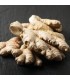 Gingembre - Racines - Ginger Root - Dr Clark