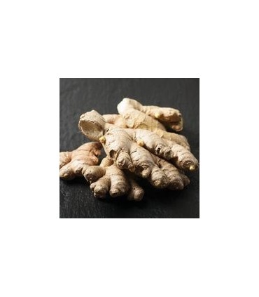 Gingembre - Racines - Ginger Root - Dr Clark