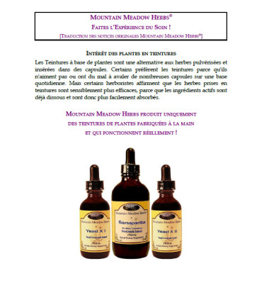 Les teintures de plantes - E.Book