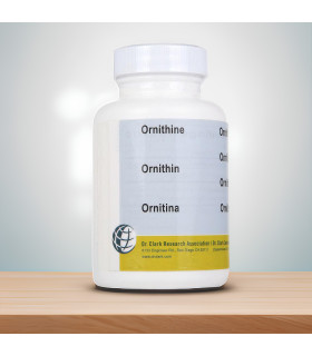 Ornithine - Dr Clark