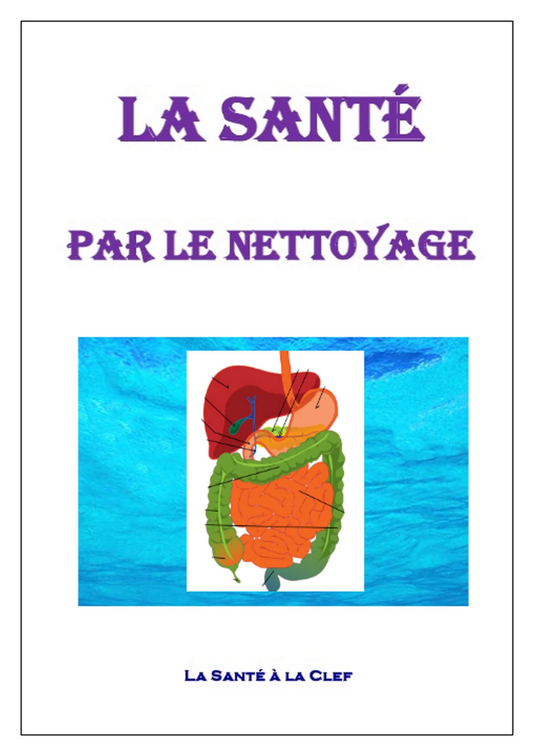 Comment nettoyer et maintenir propres ses organes internes Comment nettoyer et maintenir propres ses organes internes